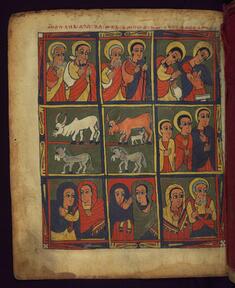 Image for The Magi and the shepherds