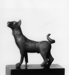 Image for Dog