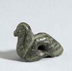 Image for Duck